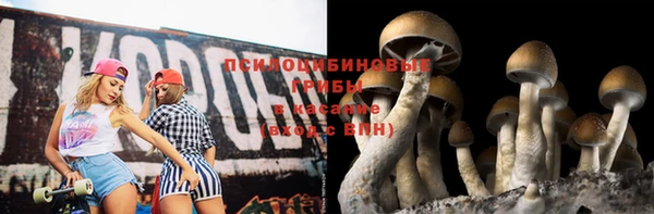 тгк Арсеньев