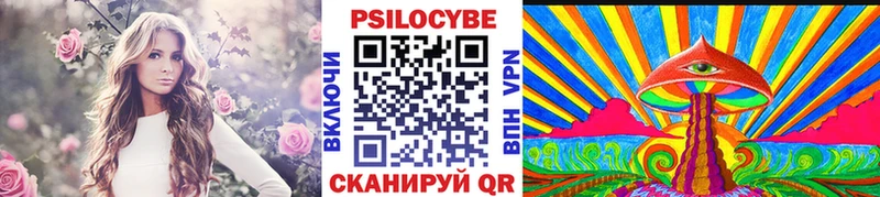 хочу   Ельня  Галлюциногенные грибы Psilocybe 
